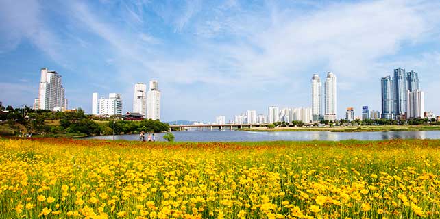 친환경적인 현대 도시와 강변의 꽃밭